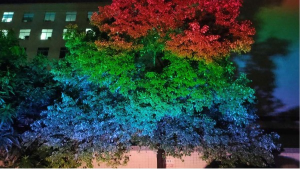 戶外景觀亮化凸顯城市文化特色LED彩虹照樹(shù)燈在城市夜景中綻放光彩