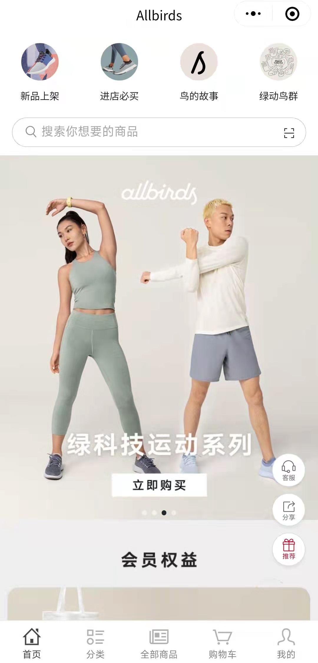 allbirds